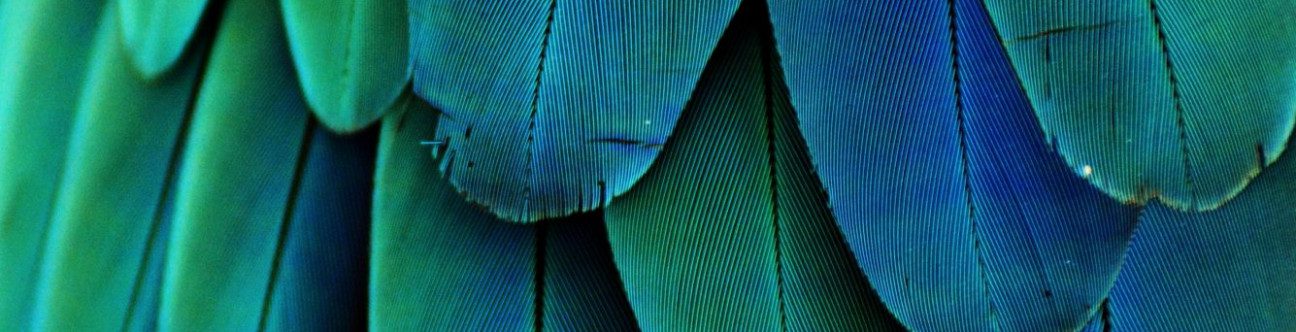 10 Year Visa To Investors, Skilled Professional Will Go A Long Way To Boost Investor Confidence