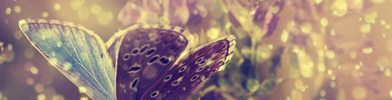 BSA Ahmed Bin Hezeem & Associates Celebrates Its 17th Anniversary on the 4th April 2017