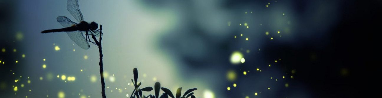 BSA Concluded A Successful Workshop at Zubair SEC