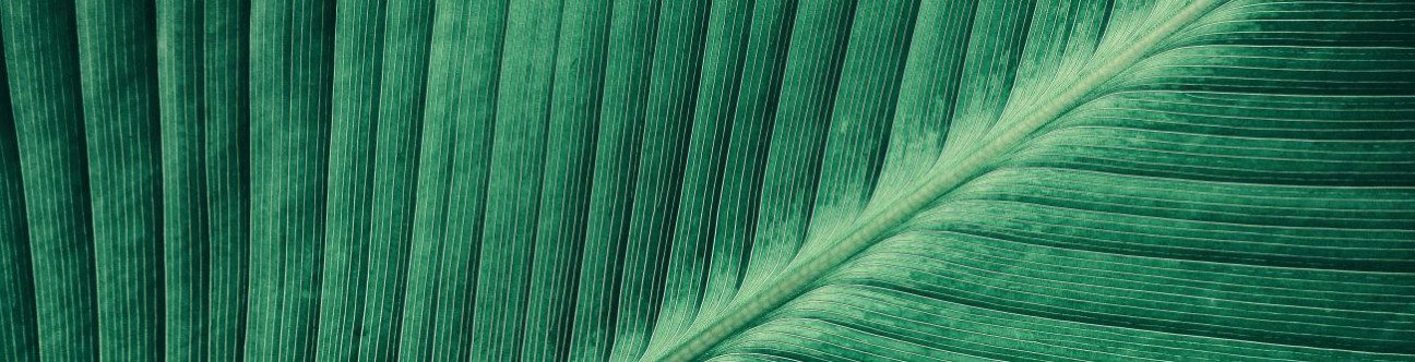 BSA Erbil Office Expands