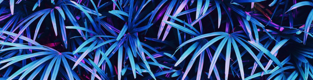 Wave of Transformation in Saudi Arabia