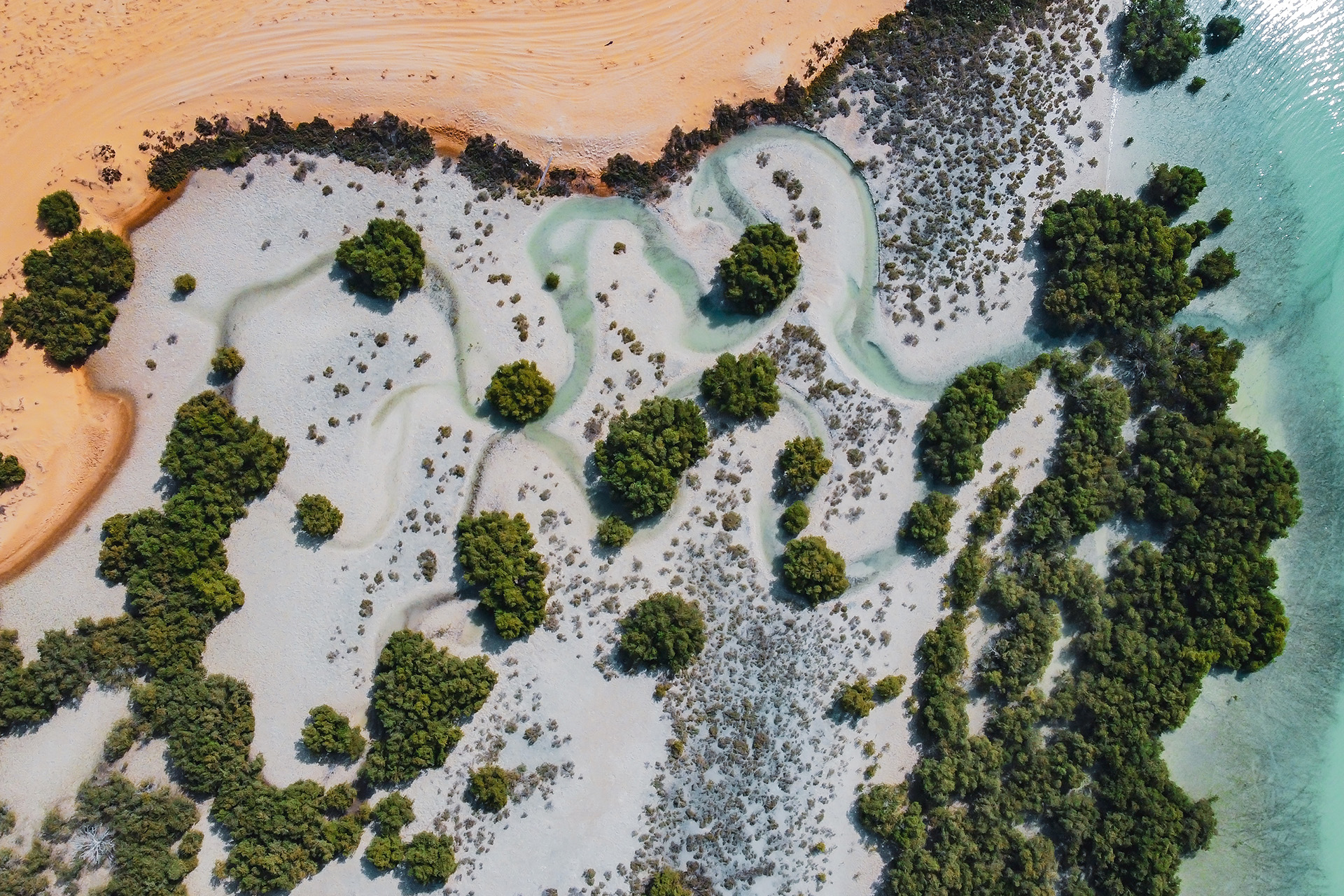 A Legal Reading of the Amendments to the Law on Combating Narcotic Drugs and Psychotropic Substances in the United Arab Emirates