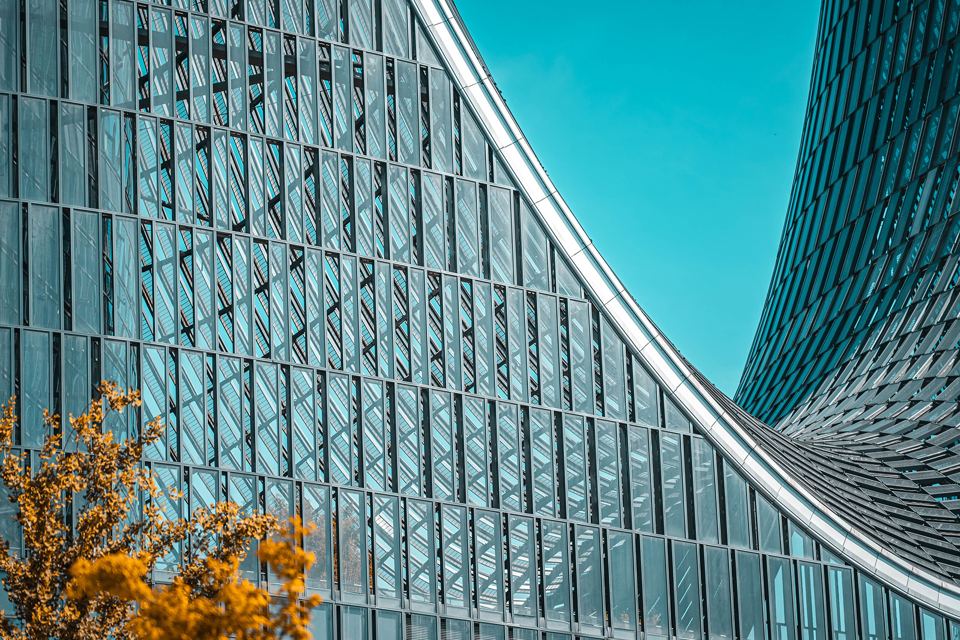 Operating Onshore: Pathways for Free Zone Companies to Conduct Business in the Mainland, United Arab Emirates