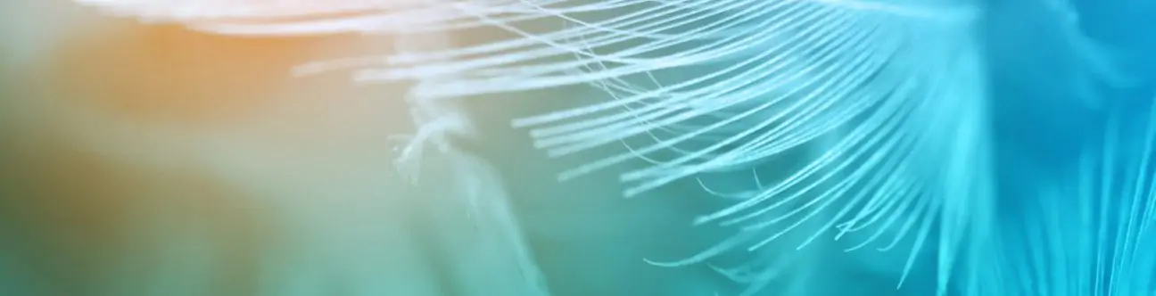 Streamlining DIFC Registration and Regulation